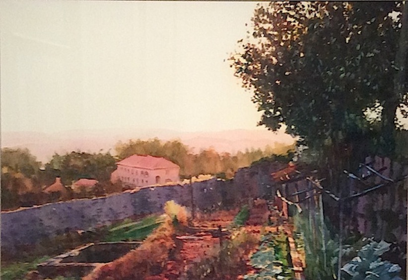 Richard Bolton | Sumer Sun Tuscany | McAtamney Gallery and Design Store | Geraldine NZ